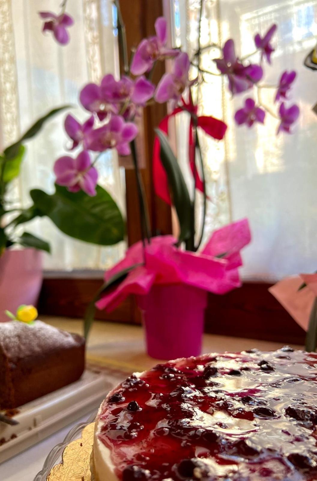Bed and Breakfast Il ritrovo delle Volpi Agerola Esterno foto