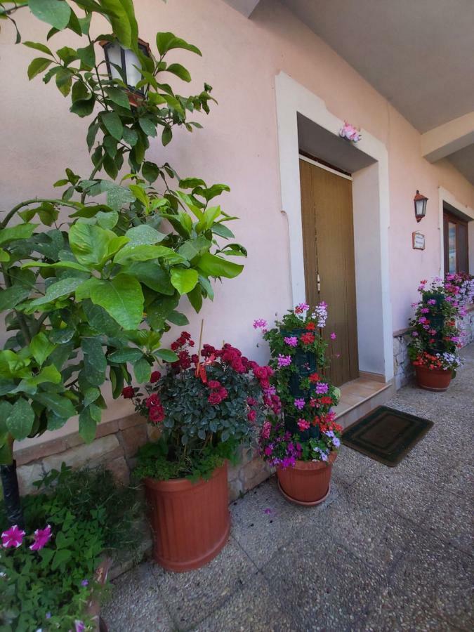 Bed and Breakfast Il ritrovo delle Volpi Agerola Esterno foto